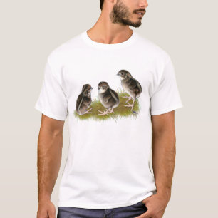 T-shirt Poussins de caille Coturnix