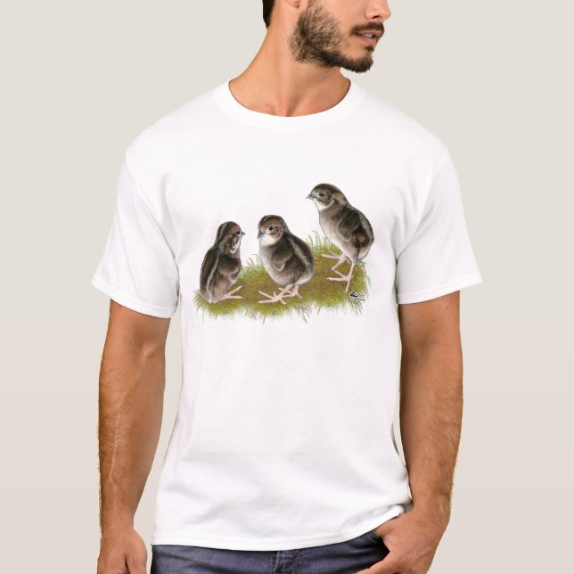 T-shirt Poussins de caille Coturnix (Devant)