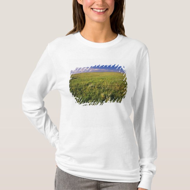 T-shirt Prairie à graminées courtes dans le nord-est éloig (Devant)