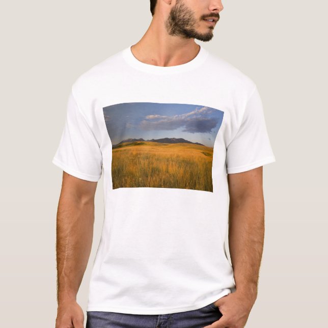 T-shirt Prairies dans les contreforts de (Devant)