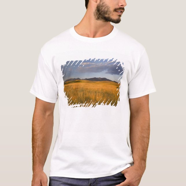T-shirt Prairies dans les contreforts de (Devant)