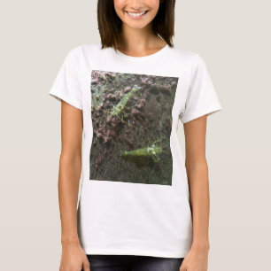 T-shirt Prawns Femme Plus-Size Débardeur