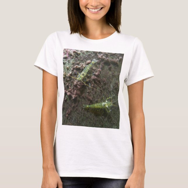 T-shirt Prawns Femme Plus-Size Débardeur (Devant)