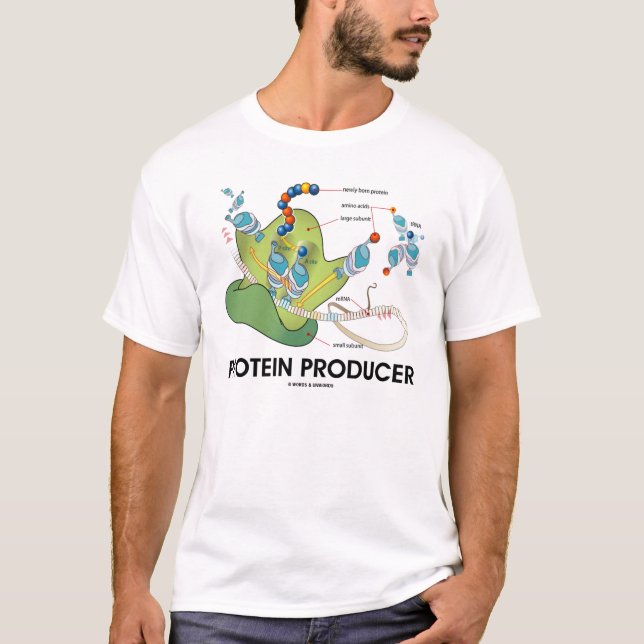 T-shirt Producteur de protéine (synthèse de protéine) (Devant)