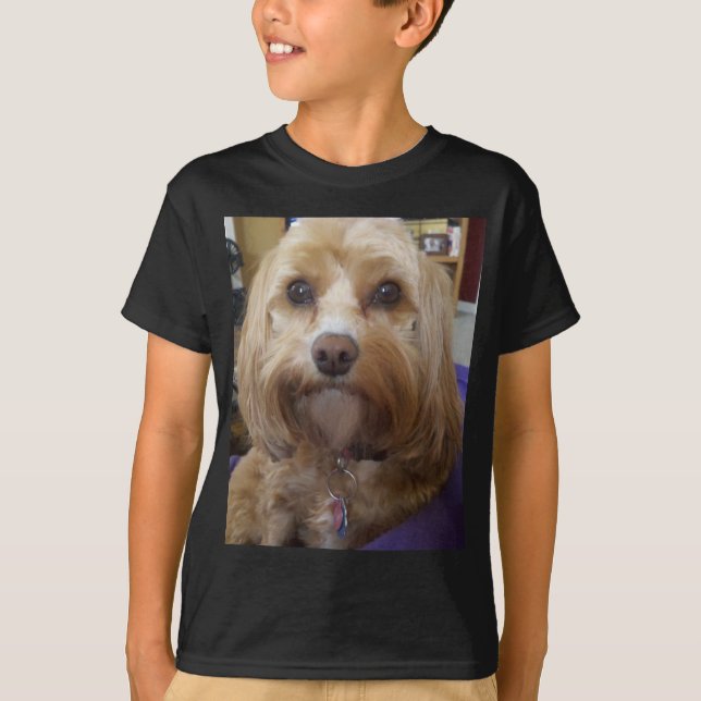 T-shirt Produits de Cavapoo ou de Cavadoodle (Devant)