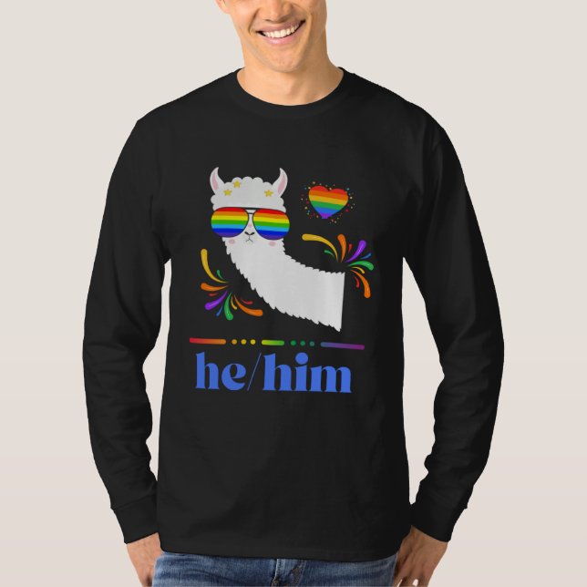 T-shirt Pronouns He Him Gay Pride Rainbow Groovy Lllama Re (Devant)