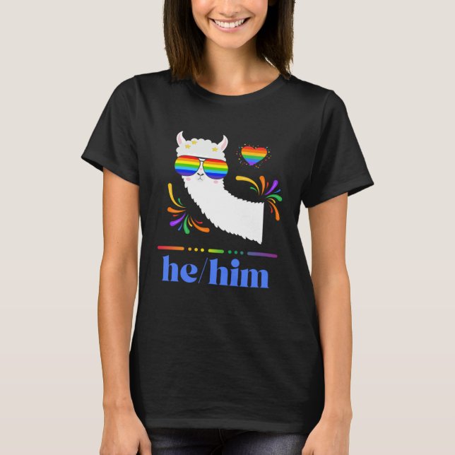 T-shirt Pronouns He Him Gay Pride Rainbow Groovy Lllama Re (Devant)
