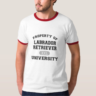 T-shirt Propriété d'université de labrador retriever
