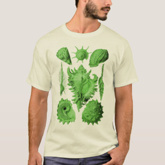 T-shirt Prosobranchia