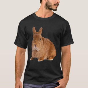 T-shirt Protection des animaux Protection des animaux Prot