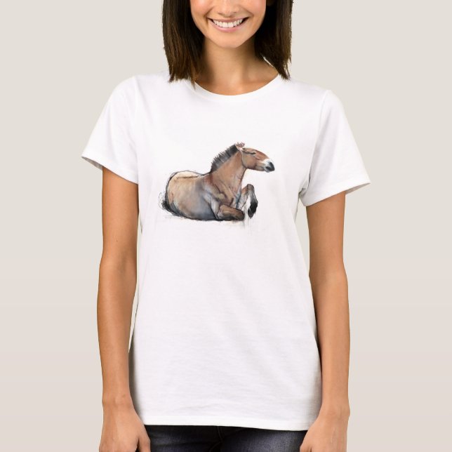T-shirt Przewalski posé 2011 (Devant)