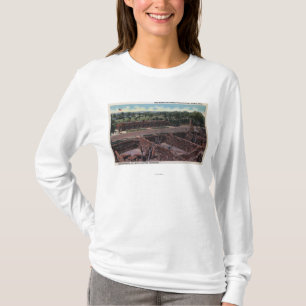 T-shirt Pueblo, le Colorado - Chambre d'oiseau et animal