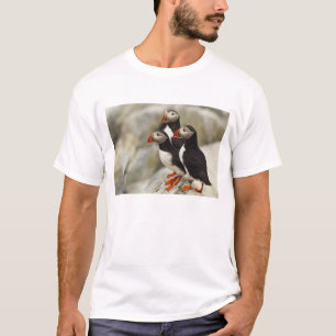 T-shirt Puffins de l'Atlantique sur l'île des phoques Mach