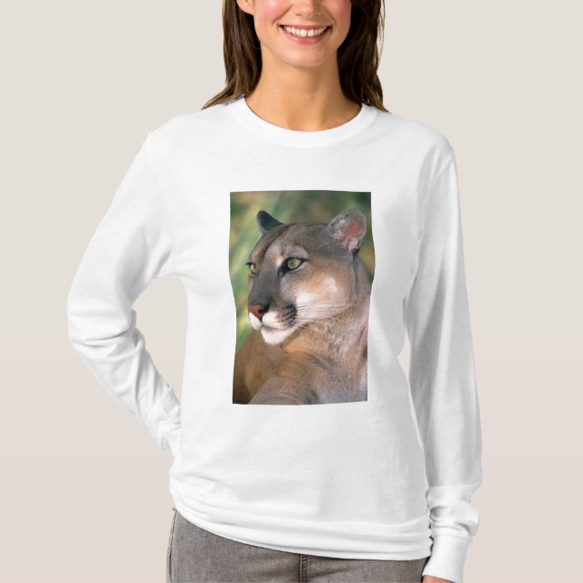 T-shirt Puma, Californie (Devant)