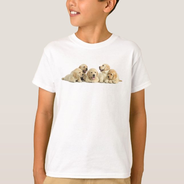 T-shirt Pupin doré du Labrador (Devant)