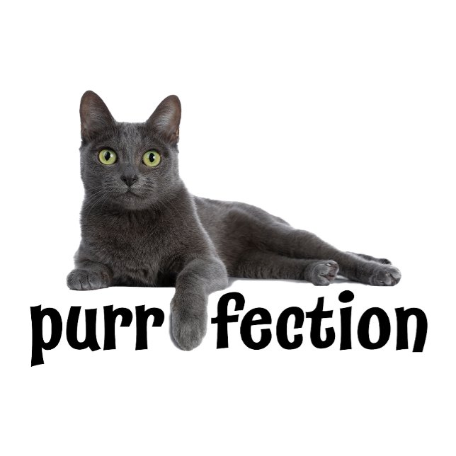 T-shirt Purfection Chat Refroidissement (Créateur téléchargé)