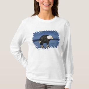 T-shirt Pygargue à tête blanche