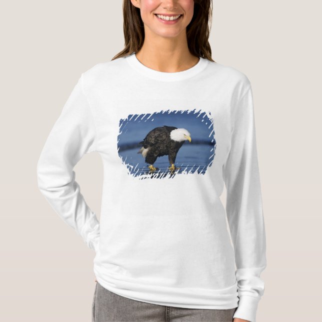 T-shirt Pygargue à tête blanche (Devant)