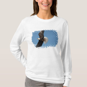 T-shirt Pygargue à tête blanche en vol