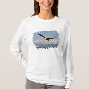 T-shirt Pygargue à tête blanche en vol, Haliaeetus leucoce