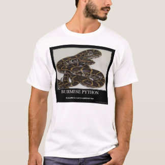 T-shirt Python birman