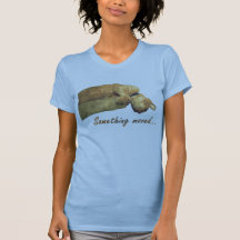 Quelque chose a déplacé - la chemise