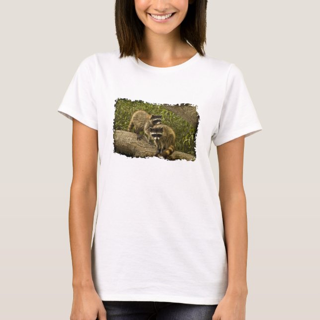 T-shirt Raccoons (Devant)