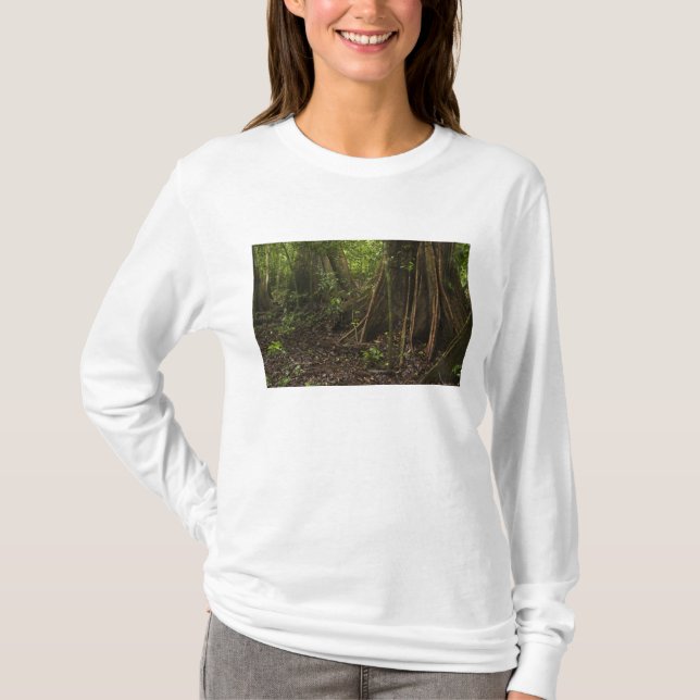 T-shirt Racines contreforts. Forêt tropicale, Mapari Rupun (Devant)