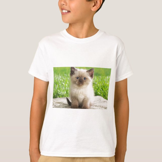 T-shirt Ragdoll Kitten Innocent (Devant)