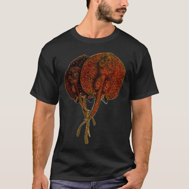 T-shirt Raie pastenague Potamotrygon poisson monstre (Devant)