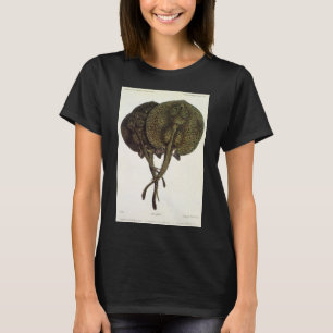 T-shirt Raies pastenagues, Animaux de la vie marine vintag