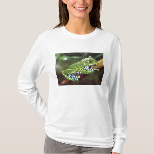 T-shirt Rainette à gros yeux, Leptopelis vermiculatus,