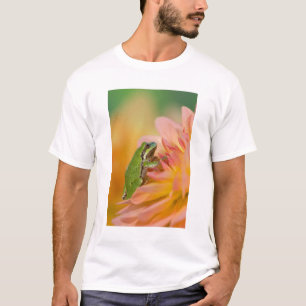 T-shirt Rainette du Pacifique sur des fleurs dans notre ja