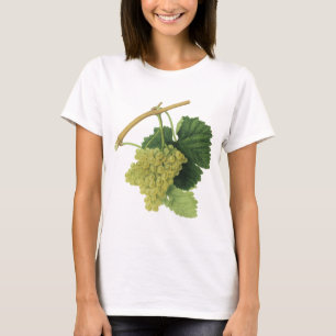 T-shirt Raisins de vin blanc sur la vigne, fruits alimenta