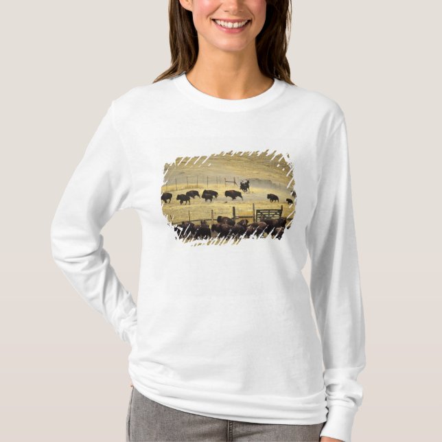 T-shirt Rassemblement du National Bison Range dans le Mont (Devant)