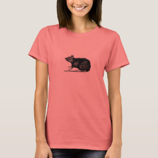 T-shirt rat