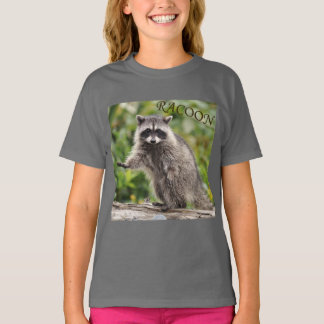 T-shirt Raton laveur doux