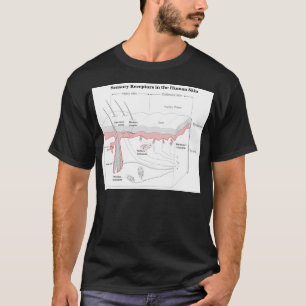 T-shirt Récepteurs sensoriels dans le diagramme de la peau