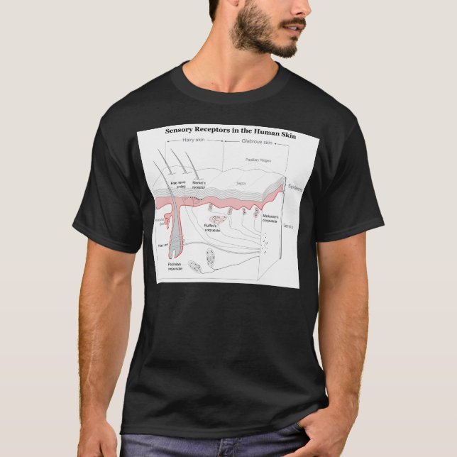 T-shirt Récepteurs sensoriels dans le diagramme de la peau (Devant)