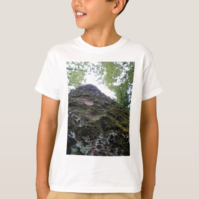 T-shirt Recherche du Kauri (Devant)