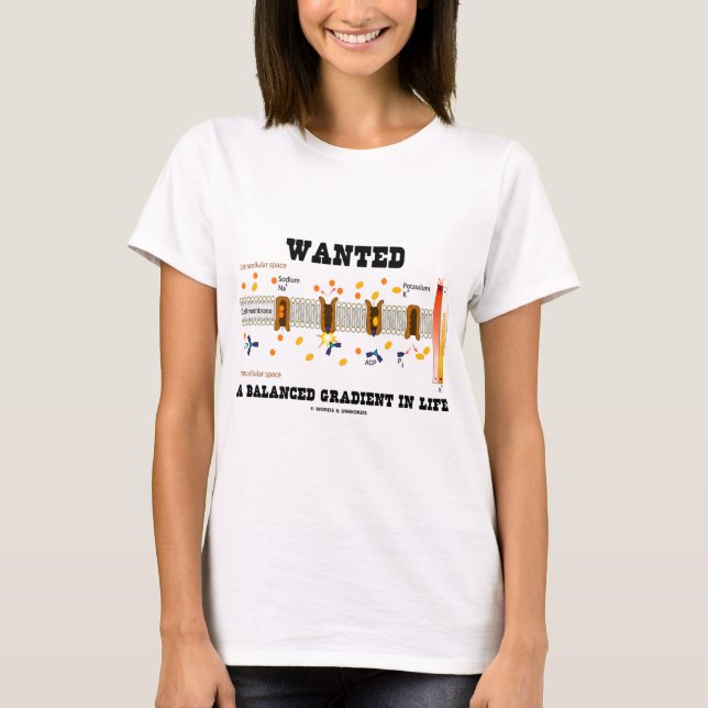 T-shirt Recherché un gradient équilibré dans la vie (pompe (Devant)