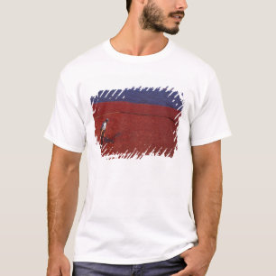 T-shirt Récolte de canneberges, Middleboro, MA, États-Unis