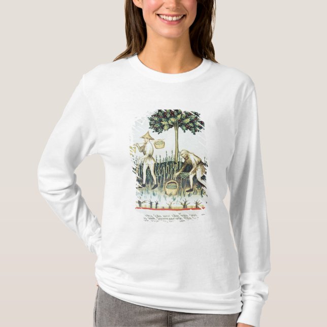T-shirt Récolteuses d'asperge, 13ème siècle (Devant)