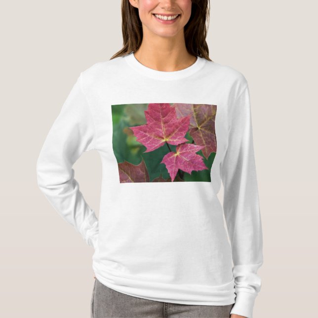 T-shirt rectifiez à vous (Devant)