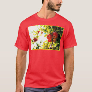 T-shirt "Red Apples Tree On Sunny Day" Photo Mignonne. Com