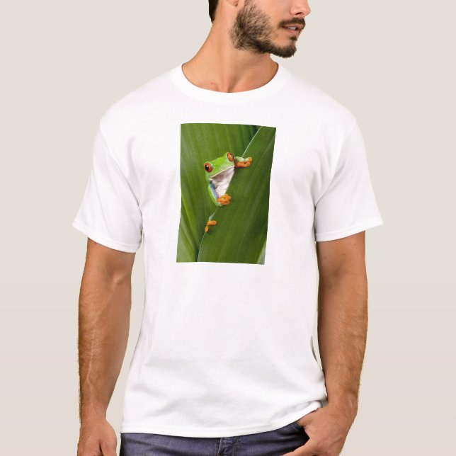 T-shirt Red eyed tree frog (Devant)