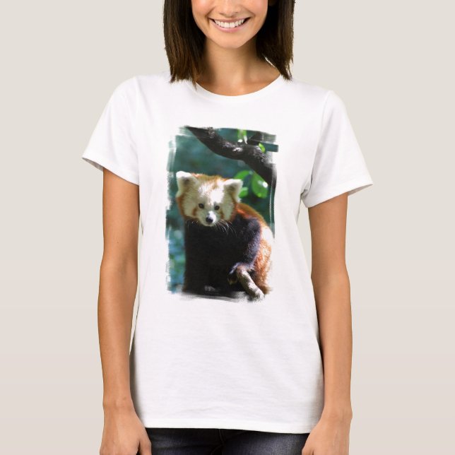 T-shirt red-panda-11.jpg (Devant)