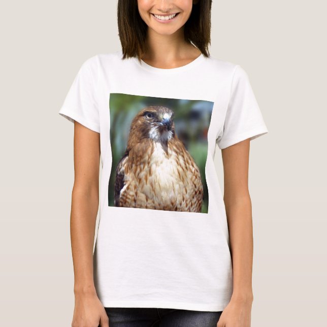 T-shirt Regard fixe du Falcom (Devant)