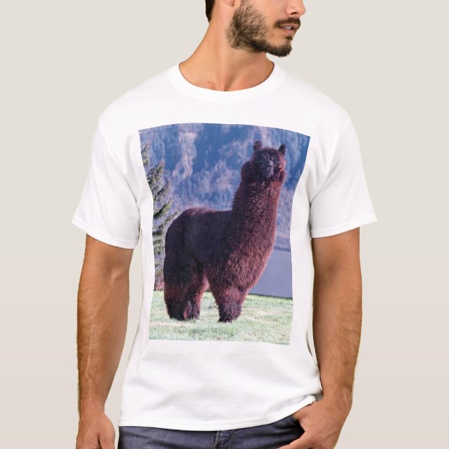 T-shirt règle d'alpaga (Devant)