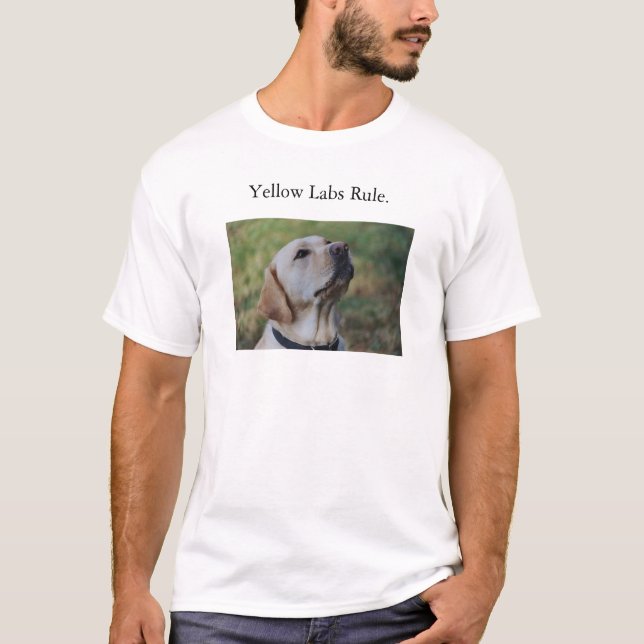 T-shirt Règle jaune de laboratoires (Devant)